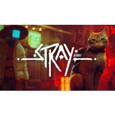 Stray (PS5) (Account) - Standard