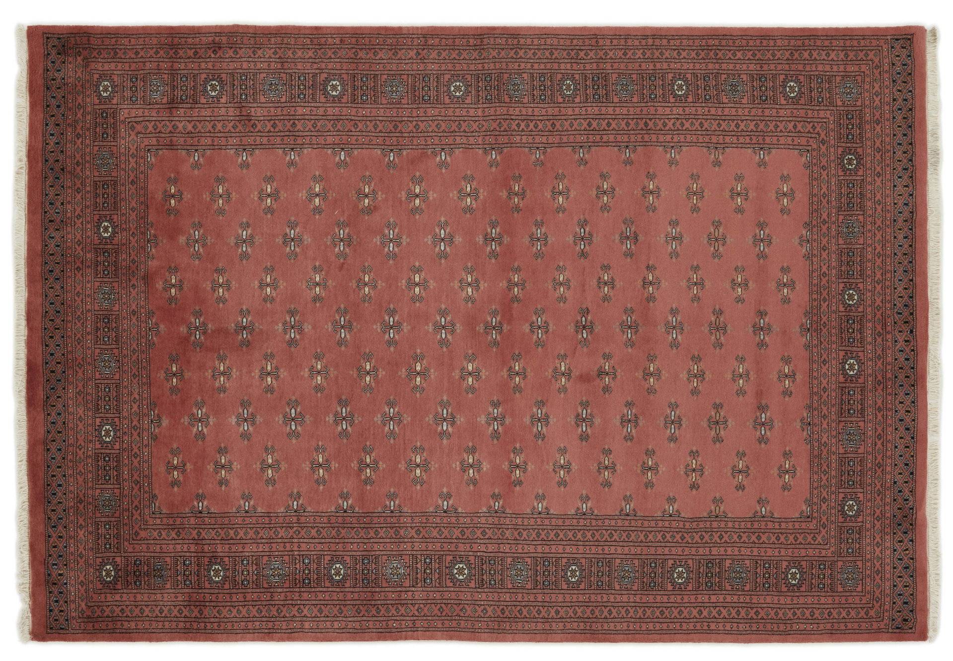 Pakistan 3 Ply