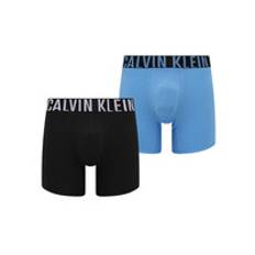 Calvin Klein Mens Intense Power Boxer Brief 2 Pack