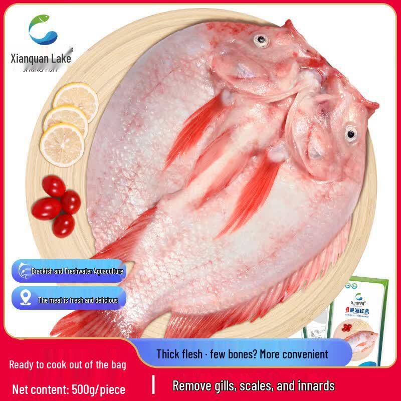 Xianquan-sjön Benfri Röd Tilapia (Rensad & Fryst)
