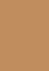 SKIN CORRECTOR STICK - Concealer - peach