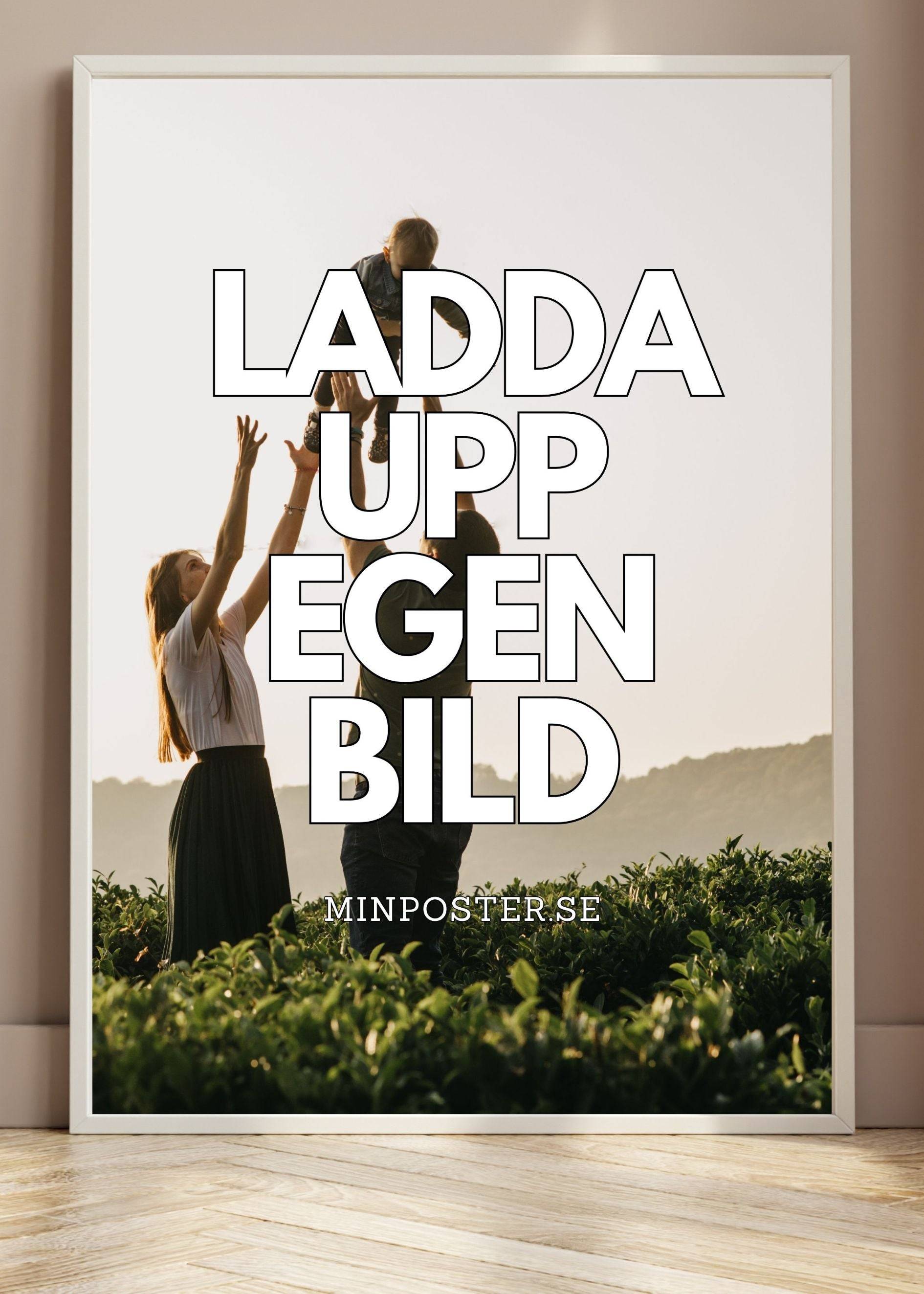 Posters i bulk för konstnärer - 30x40 cm / Bestruket (silk) / 5 st