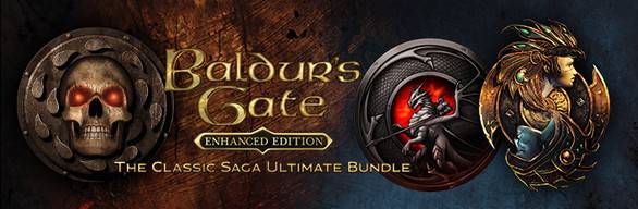 Baldurs Gate The Classic Saga Bundle (PC) - Standard