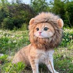 1 Pc Lion Mane Wig For Cat Costume Pet Adjustable Washable Comfortable Fancy Lion Hair Cat Clothes Dress For Halloween Christmas Easter Festival Party Activity