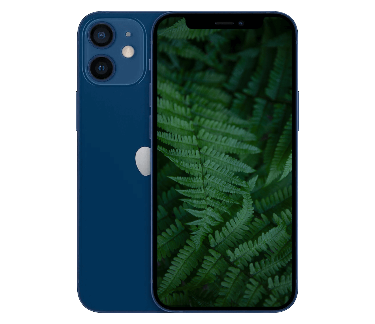 iPhone 12 Mini