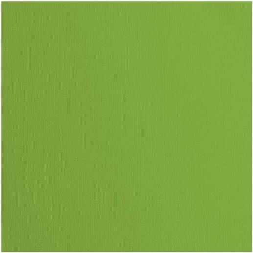 Cardstock Florence - Canvas - Frog