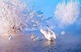 LHJOY Impossible Puzzle 1000 bitar Swan 75x50cm