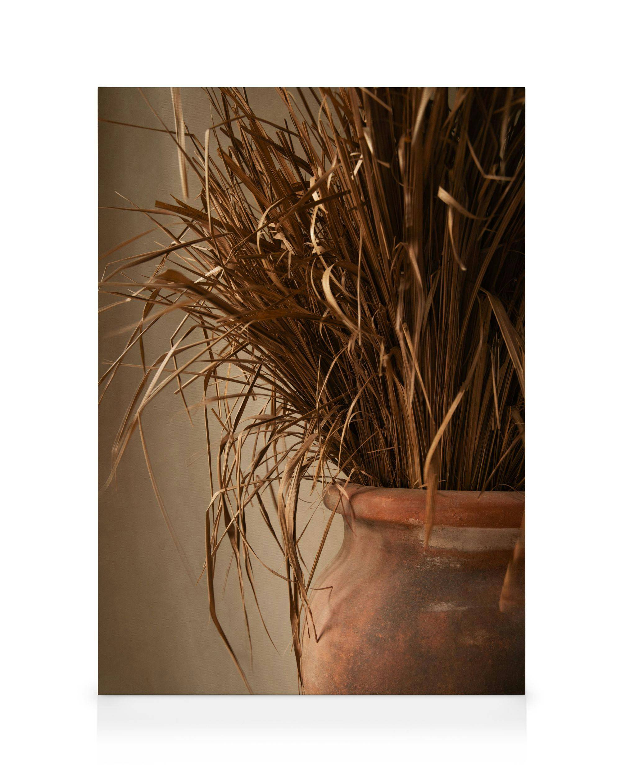 Canvastavlor Grass Bouquet Canvastavla (50x70 cm - Mörk ekram)