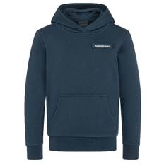 Logo Hood Sweatshirt JR Blue Shadow (170) - Blå (170)