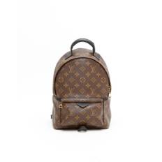 Louis Vuitton Monogram Palm Springs PM Backpack