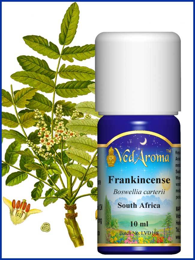Frankincense eterisk olja eko. 10 ml