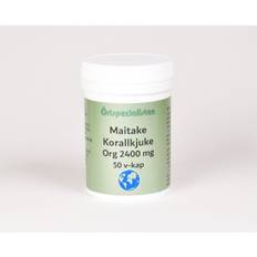 Maitake Bio 2400mg 50vk - Örtspecialisten