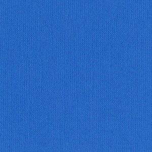 Bazzill - Canvas Cardstock 12x12 (pauly poo)