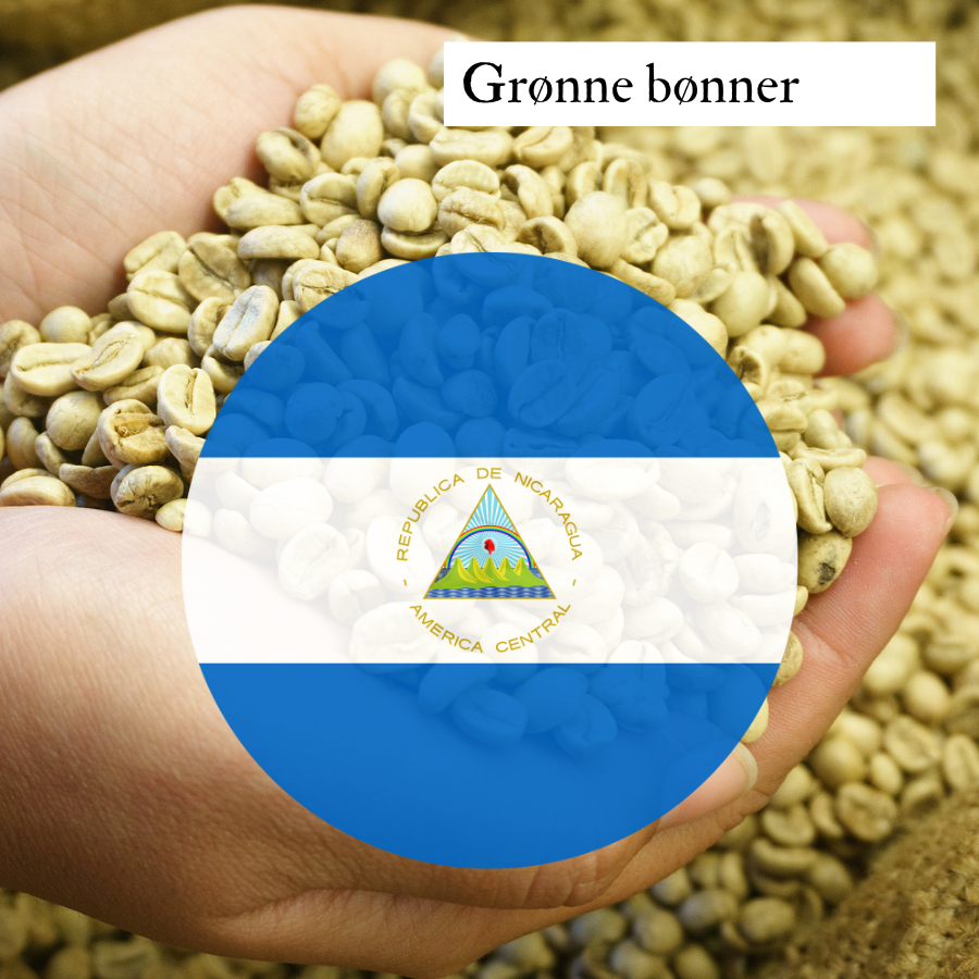 Nicaragua Fancy Las Mimosas, Grønne Bønner, 1000 gr