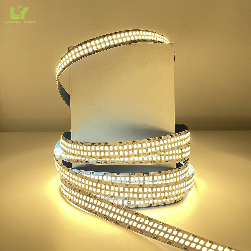 LYZM Lighting 5V 12V IR Control Indoor Waterproof IP20 5m 10m SMD 2835 RGB Single Color Smart Led Strip Light