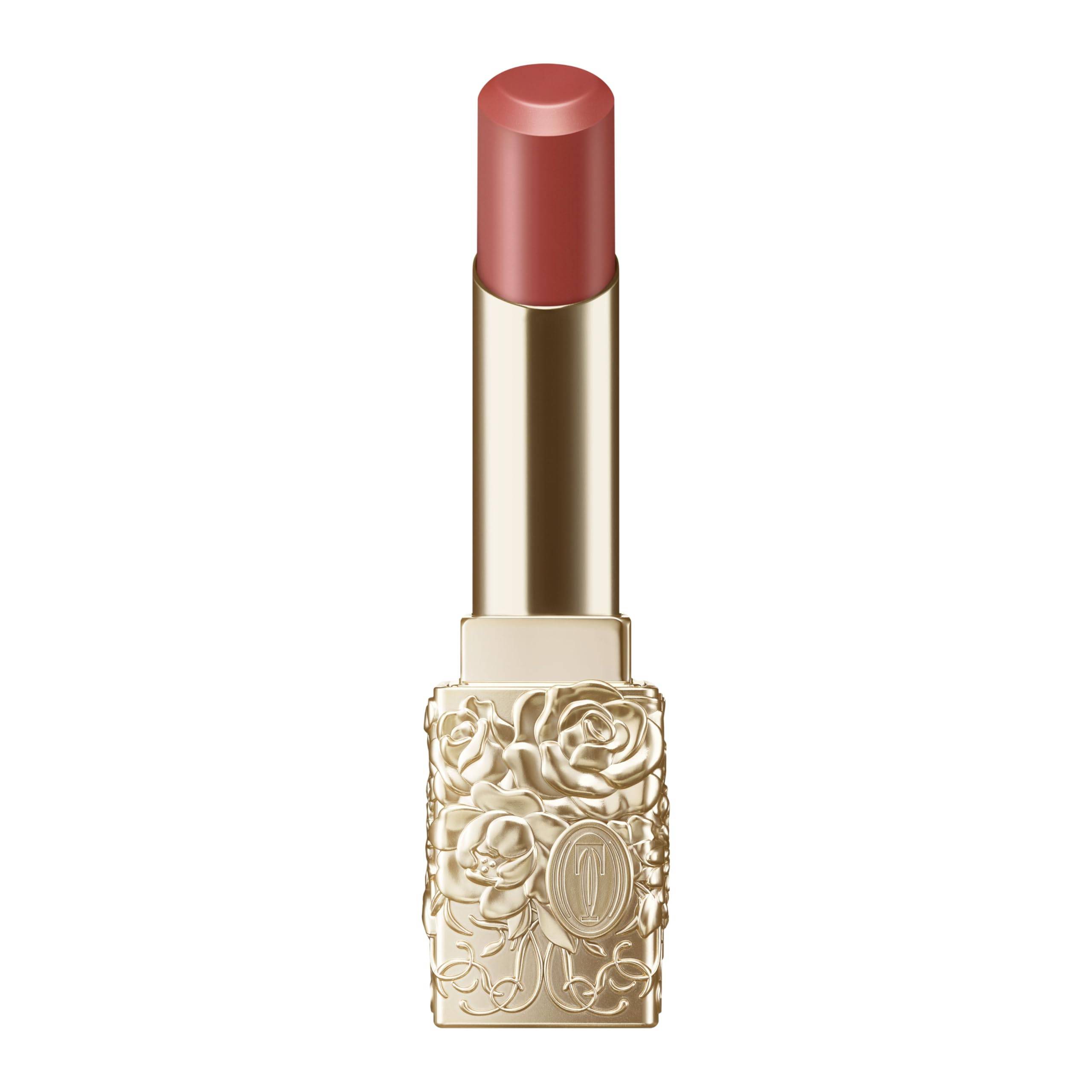 TWANY La La Bouquet Rouge Glossy Stylish Brown BR-01 Lipstick, 3.0g,