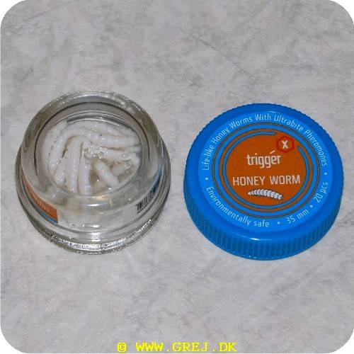 TriggerX - Pearl hvid - Honey Worm