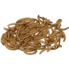 Bucktons Bucktons Mealworms 12.55KG