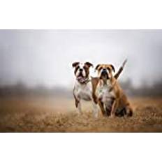 LHJOY pussel jul pussel 1000 bitar hund 75x50cm