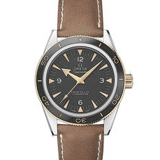 Omega Seamaster 300 Master Co-Axial -  Black