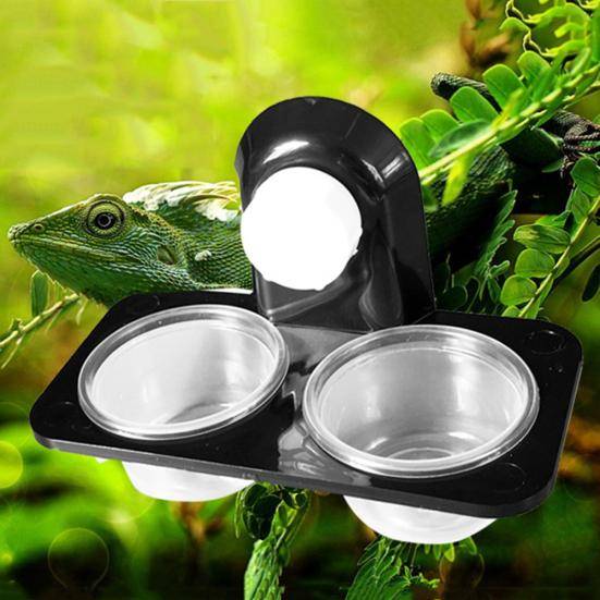 Dubbelgaller Reptiler Mat Vatten Matningsskål Insekter Spindel Uppfödningsbehållare Krukor