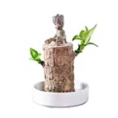 Brazil Wood hydroponic Plants Groot Lucky Wood Potted Tree Stump Indoor Desktop Clean Air Plants Mini Decoration Tree Man