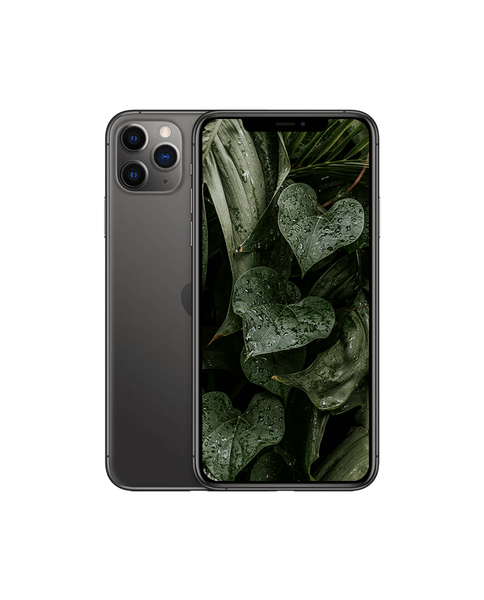 iPhone 11 Pro Max Rymdgrå / 256GB / Okej skick
