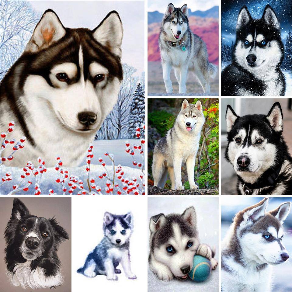 5D DIY Djur Diamantmålning Husky Pictures Full diamantbroderi Strassmosaik Korsstygnskit Möbeldekoration