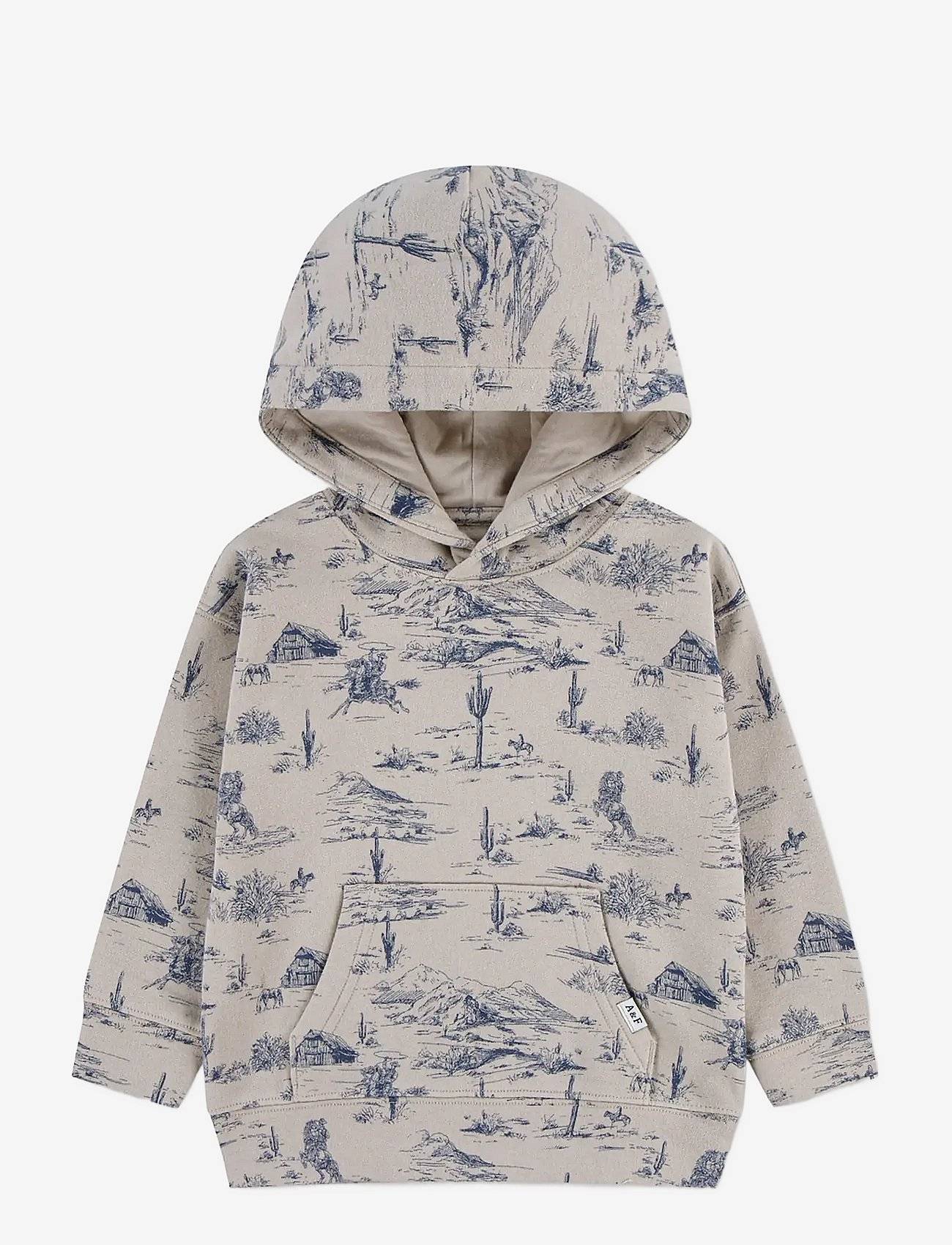 Abercrombie Kids Po-Pull-Over Hoody - Grey - 92