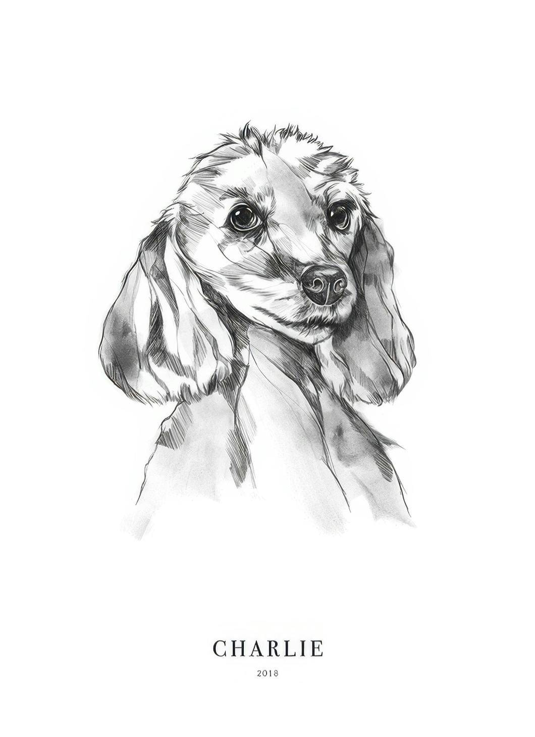 Personliga tavlor Poodle Dog Personal Poster (50x70 cm)