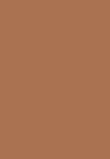 BROW ARTIST DESIGNER - Ögonbrynspenna - 303 deep brown