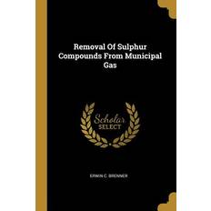 Removal Of Sulphur Compounds From Municipal Gas - Erwin C. Brenner - 9781010598275