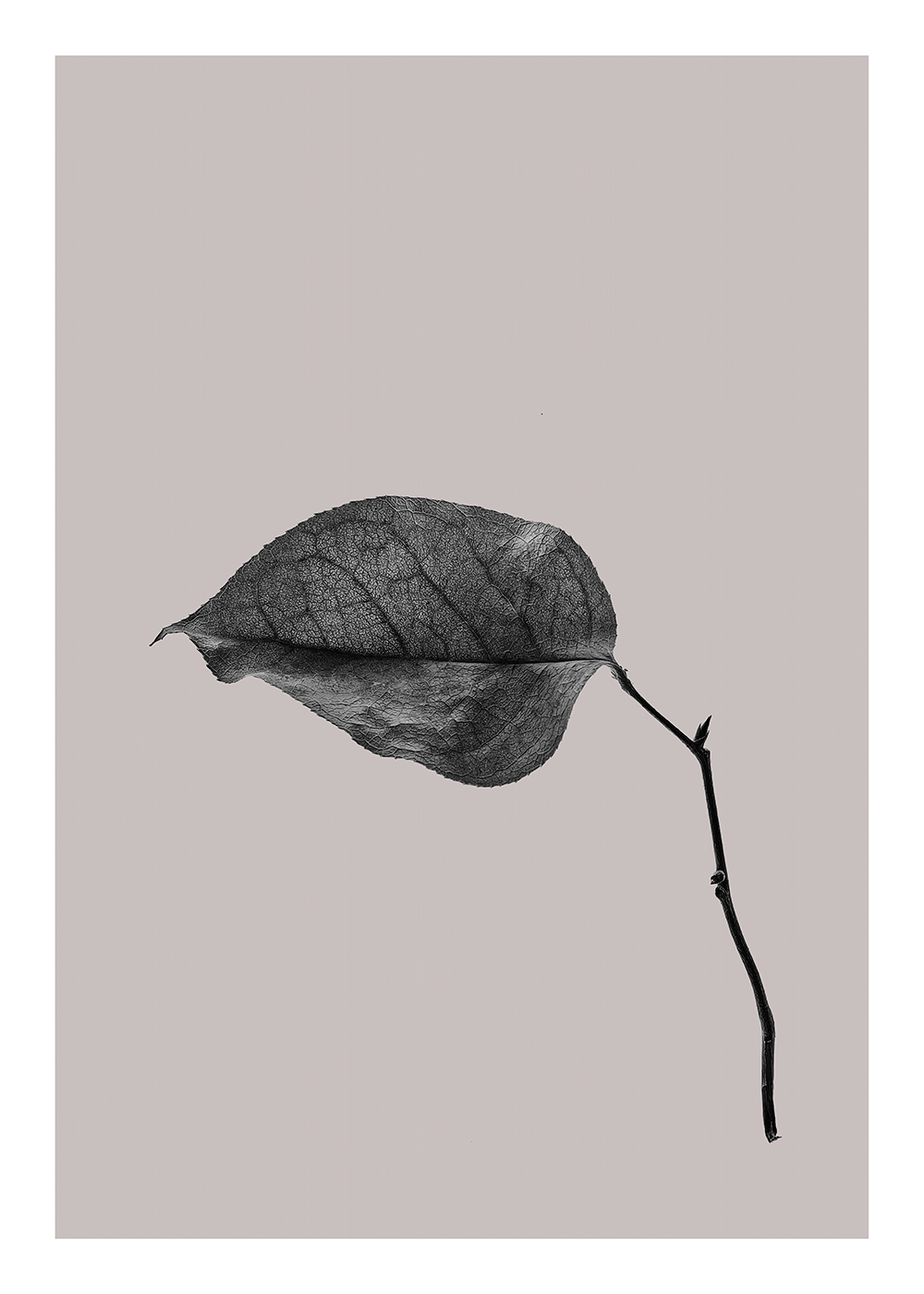 Sabi Leaf 03 - 50x70 cm (50x70 cm)