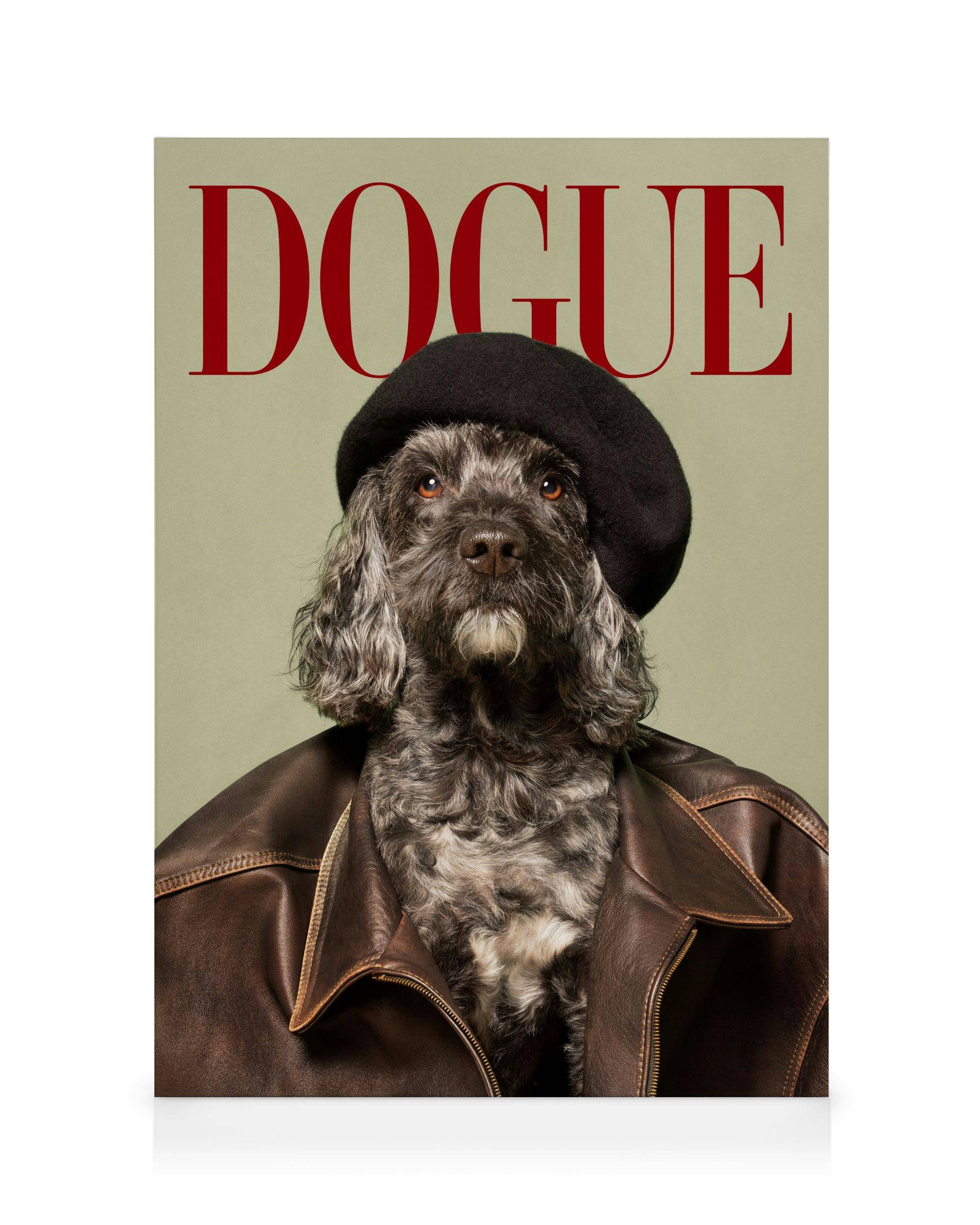Canvastavlor Dogue No4 Canvastavla (30x40 cm - Ekram)