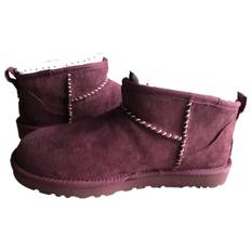 Ugg Ankle boots