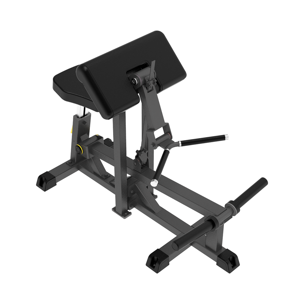 Impulse IFP Bicep Curl.