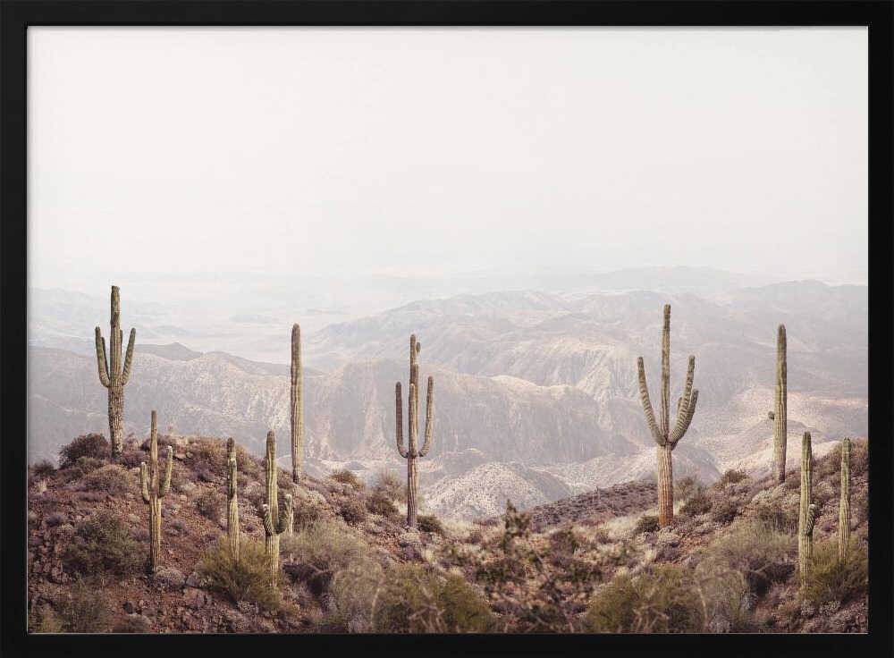 Arizona Valley Poster - 100x70 cm / 40x28″