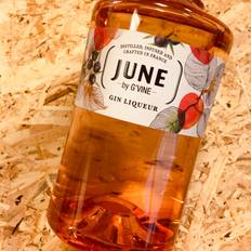 JUNE PEACH GIN, WITH JAR BY G VINE 37,5% Wild Peach, Maison Villevert (70cl)