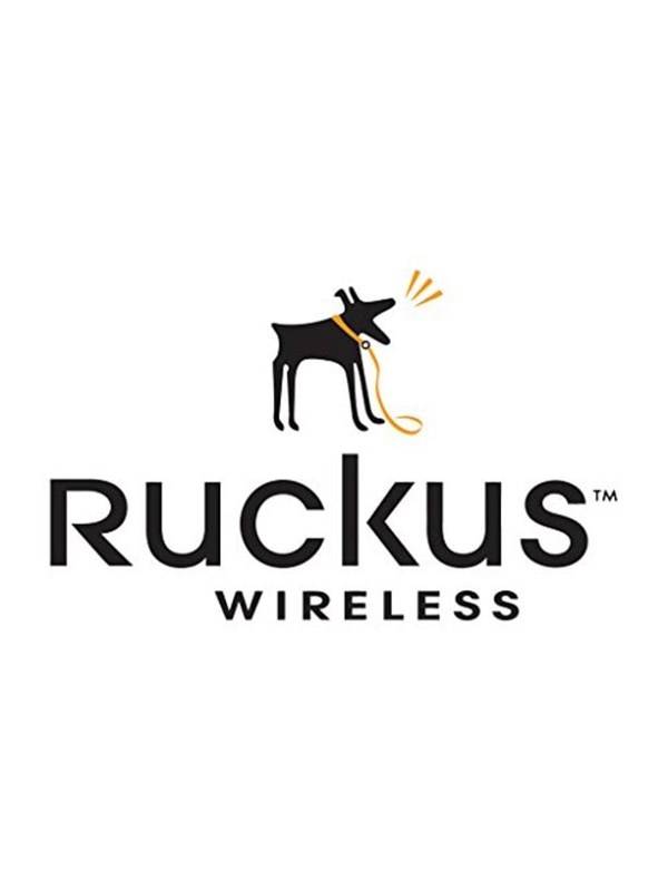Ruckus Wireless Ruckus 10G-SFPP-LR-S - SFP+ transceiver module - 10 GigE