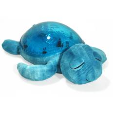 Cloud B Tranquil Turtle, Aqua