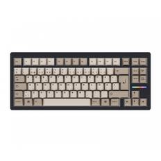 Wooting 80HE ISO + Retro Keycaps