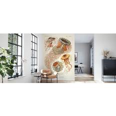 Jellyfish Art Print - Ernst Haeckel