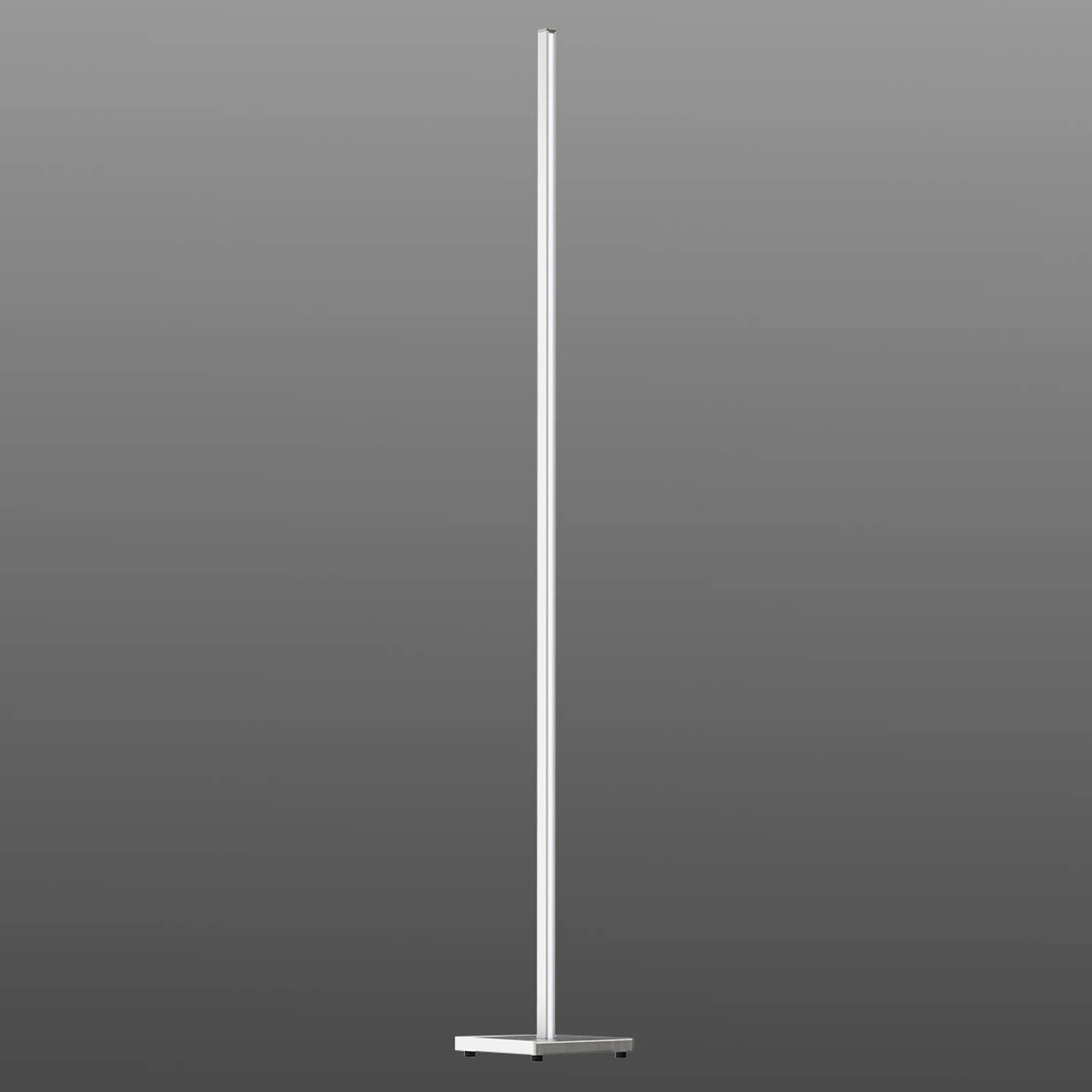 Evotec LED golvlampa Orix, dimbar, Vitt / opal, Vardagsrum / matsal, Aluminium / grå / zink, Modern, LED-golvlampa