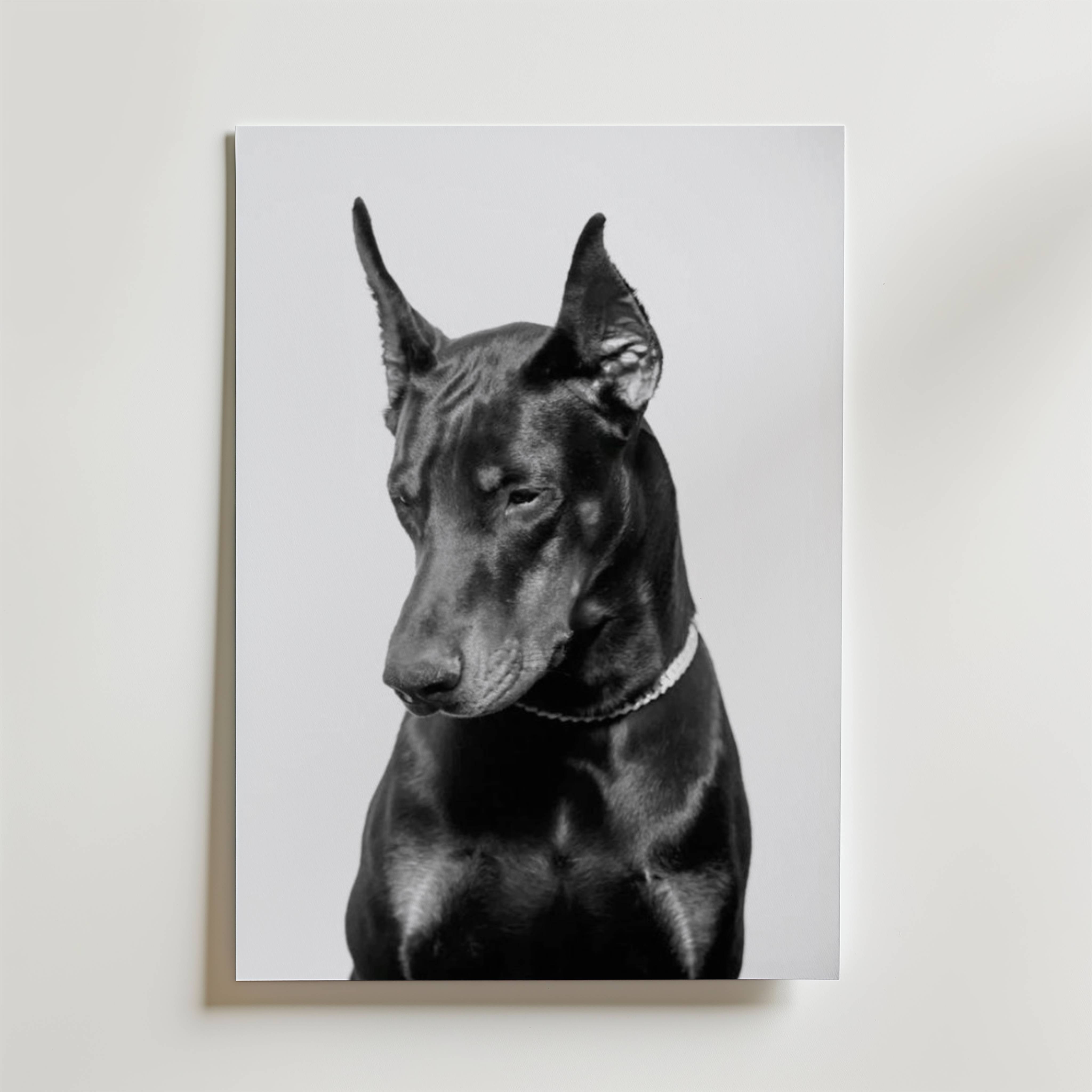 Noir Doberman Poster - Fine Art Poster 13x18 cm