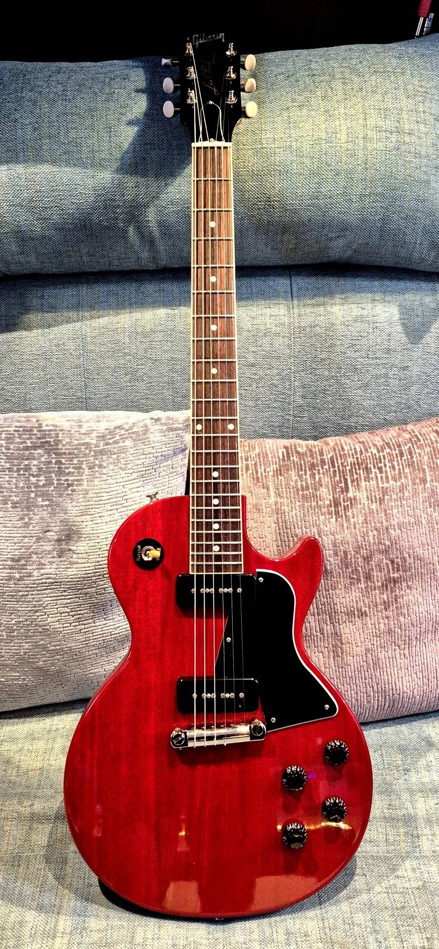 Gibson Les Paul Special Vintage Cherry