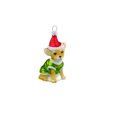 Brun Chihuahua med nissehue