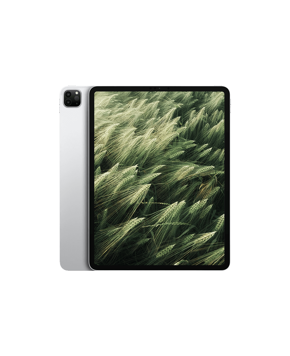 iPad Pro 5 (2021) 12.9" Wi-Fi Silver / 512GB / Okej skick