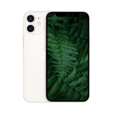 iPhone 12 Mini