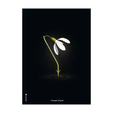 Brainchild Plakat - Vintergæk/Sort Baggrund - 70x100 cm