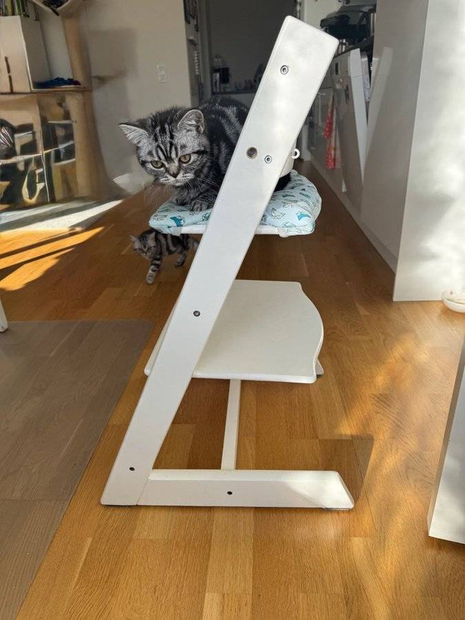 Stokke Tripp Trapp barnstol med dyna